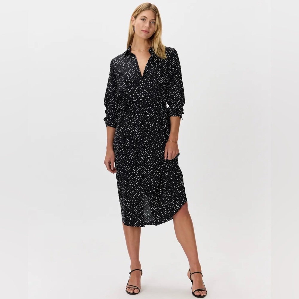 Quince Black Polka Dot Long Sleeve Shirt Dress